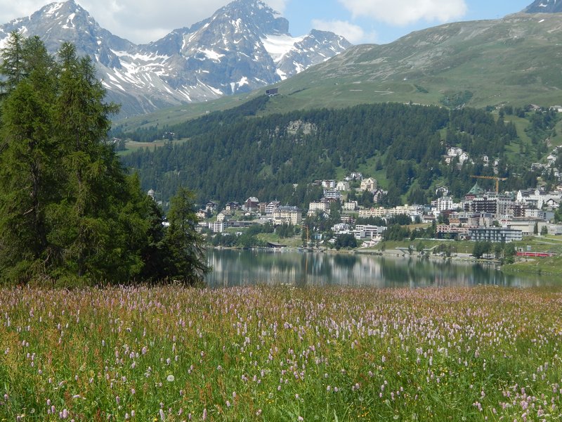 Tirano (SO) - St. Moritz (CH)